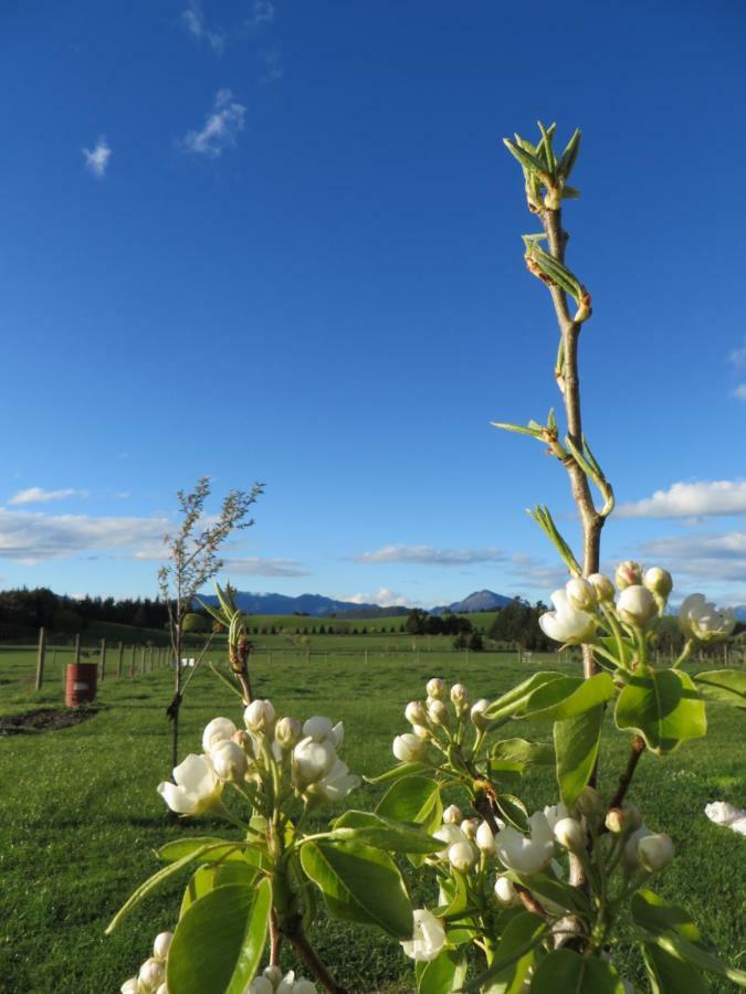 Quiet Studio In Paradise Wanaka Ngoại thất bức ảnh